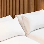 Zuia * Murguía